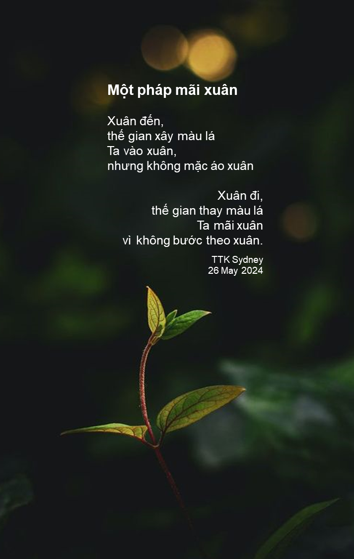 Một pháp mãi xuân

Xuân đến,
thế gian xây màu lá
Ta vào xuân,
nhưng không mặc áo xuân

Xuân đi,
thế gian thay màu lá
Ta mãi xuân
vì không bước theo xuân.

TTK Sydney
26 May 2024